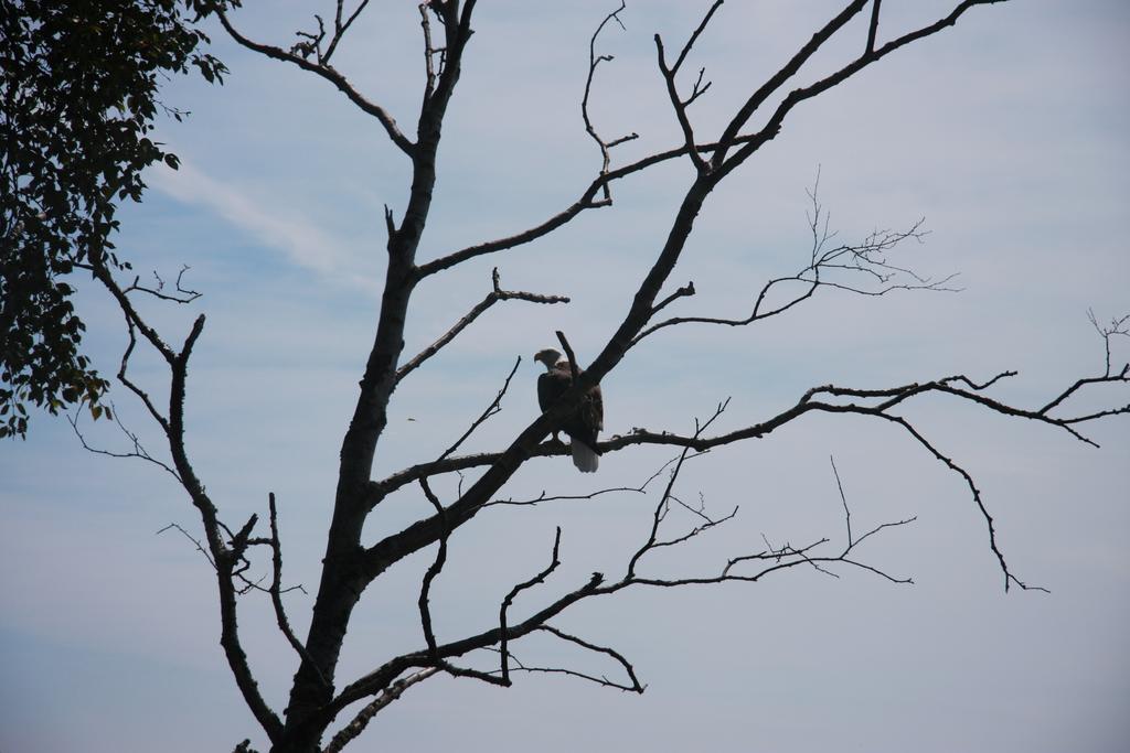 Cliff Dweller on Lake Superior Tofte Esterno foto